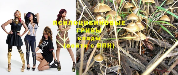 PSILOCYBIN Верея