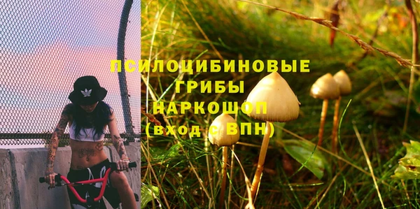 бошки Волоколамск