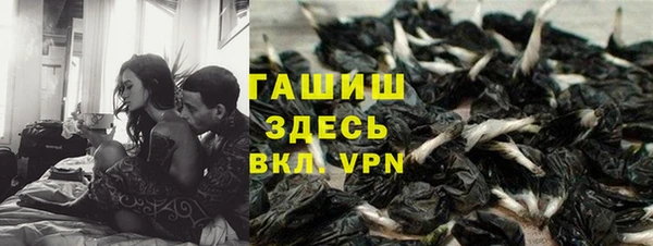 PSILOCYBIN Верея