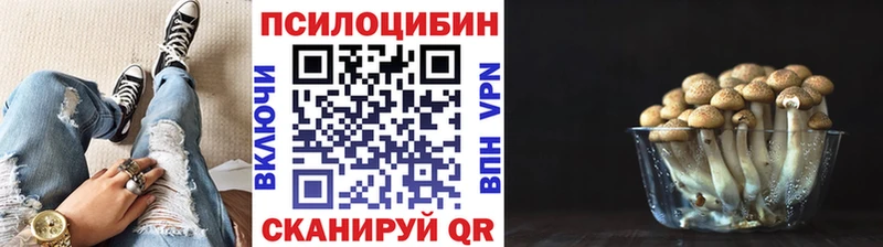 Псилоцибиновые грибы Cubensis  Голицыно 